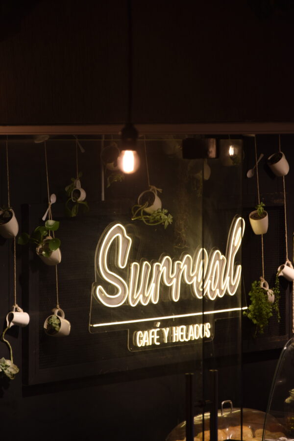 LOCALES COMERCIALES - Image 3